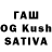 Галлюциногенные грибы Cubensis Katen'ka Vstretinskaya