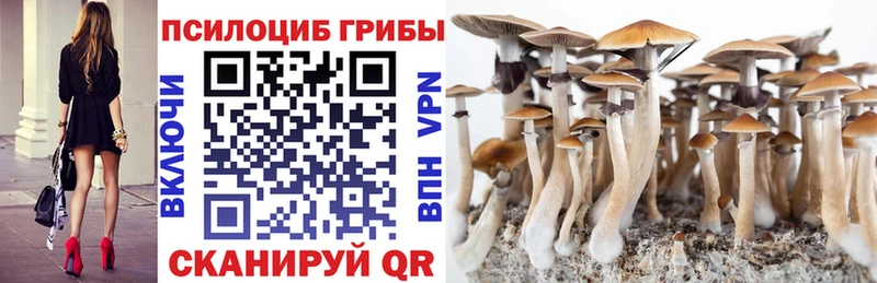 Галлюциногенные грибы мицелий Благовещенск